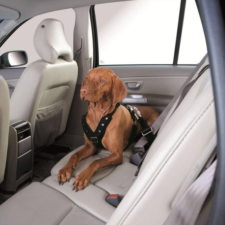 Car Safety Harness Small 15 cm M672828